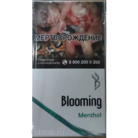 Сигареты Blooming Mentol Super Slim